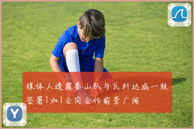 媒体人透露泰山队与瓦科达成一致签署1加1合同合作前景广阔