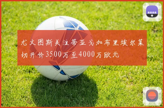 尤文图斯关注蒂亚戈加布里埃尔莱切开价3500万至4000万欧元
